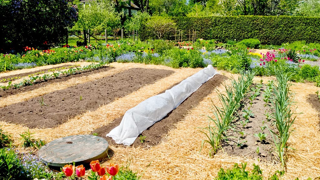 gardenbeehub straw mulch
