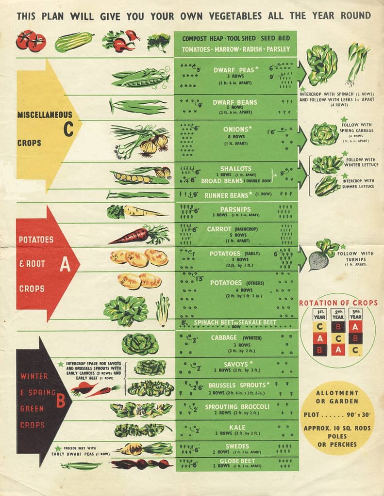 Best Crop Rotation guide for Vegetable Garden 3 garden bee hub 3 yr crop rotatation