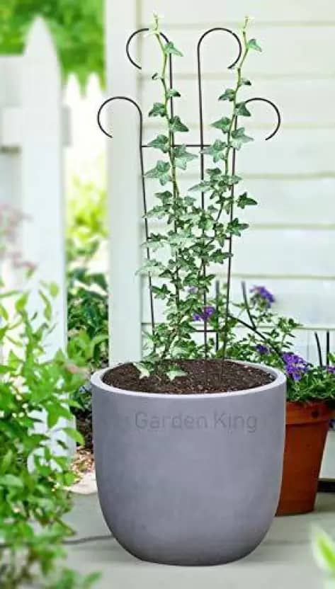 gardenbeehub metal trellis