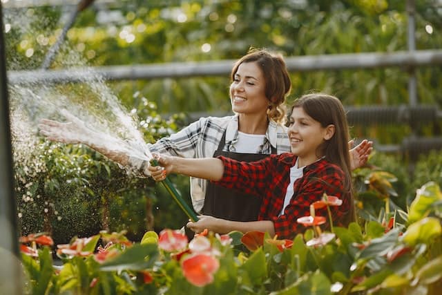 gardenbeehub-watering